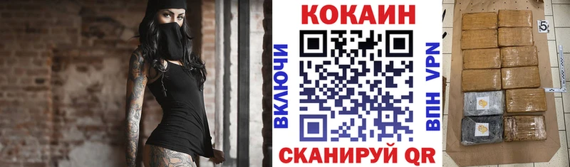 Купить закладки  Красный Кут  COCAIN FishScale 