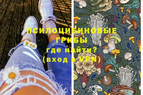 крисы Верхний Тагил