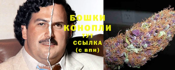 крисы Верхний Тагил