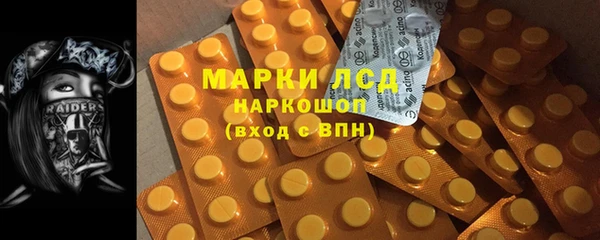 крисы Верхний Тагил
