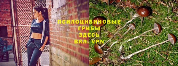 крисы Верхний Тагил